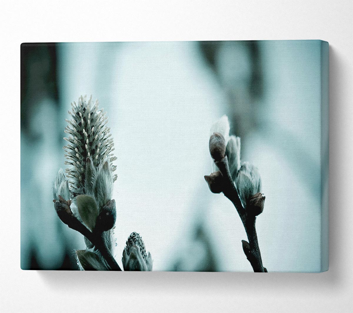 Winter Snow Flowers Canvas Wall Art