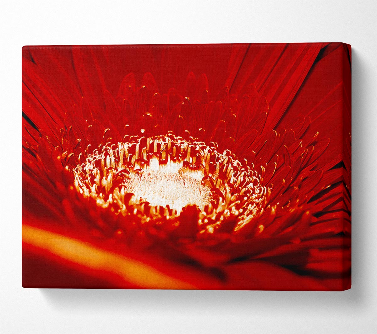Red Centre Canvas Wall Art