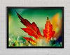 Autumn Leaf Framed Wall Art