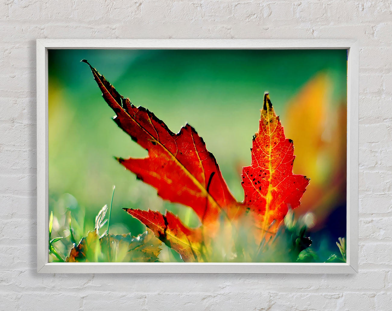 Autumn Leaf Framed Wall Art
