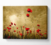 Red Poppy skies Canvas Wall Art