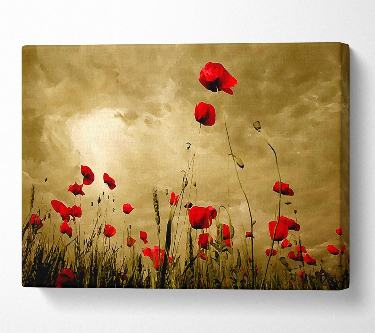 Red Poppy skies Canvas Wall Art