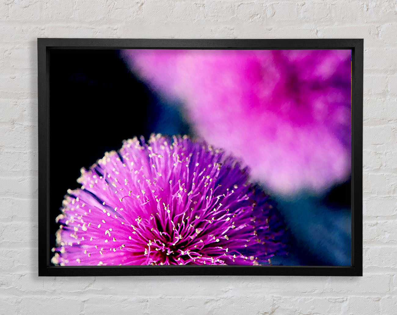 Cerise Pink Pom Poms Framed Wall Art