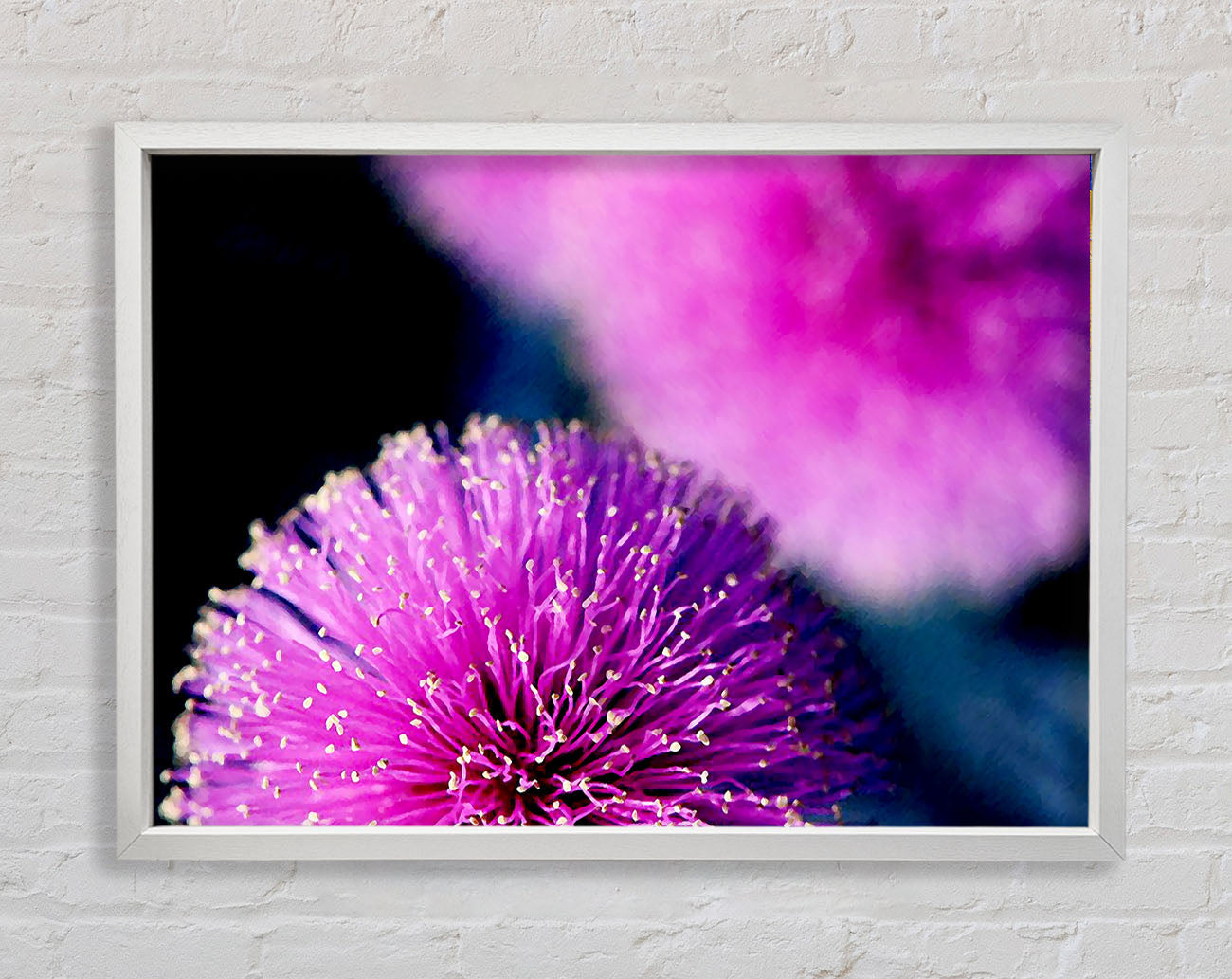 Cerise Pink Pom Poms Framed Wall Art