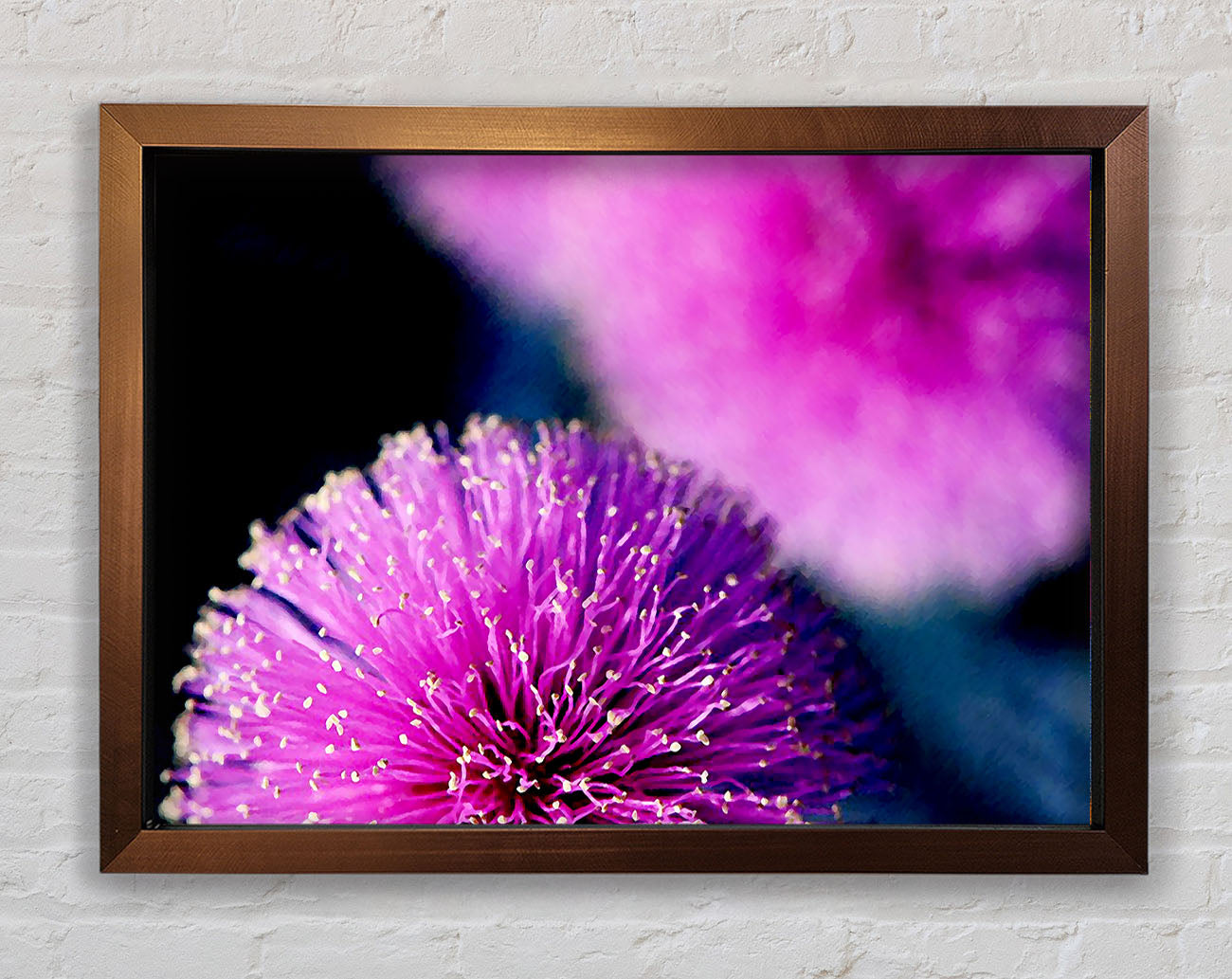 Cerise Pink Pom Poms Framed Wall Art