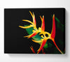 Bird Of Paradise In Sunlight Canvas Wall Art