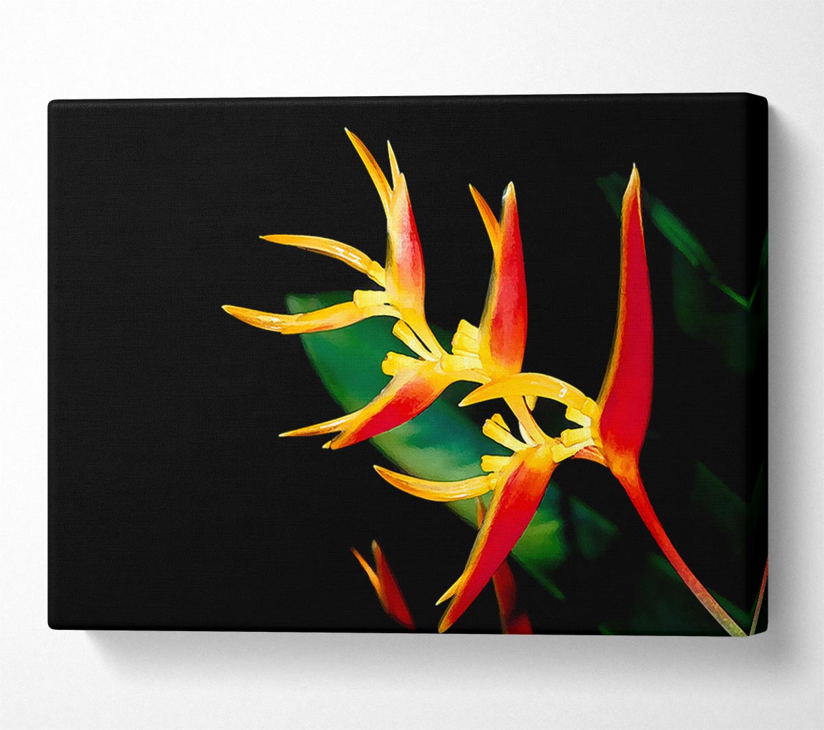Bird Of Paradise In Sunlight Canvas Wall Art