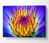 Vibrant Purple Water Lily Canvas Wall Art