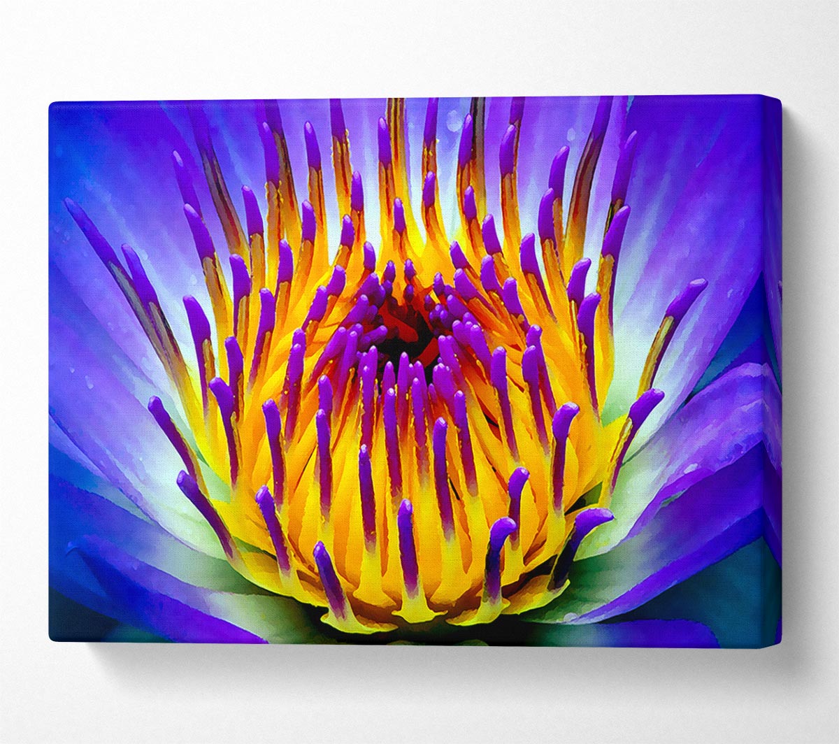 Vibrant Purple Water Lily Canvas Wall Art