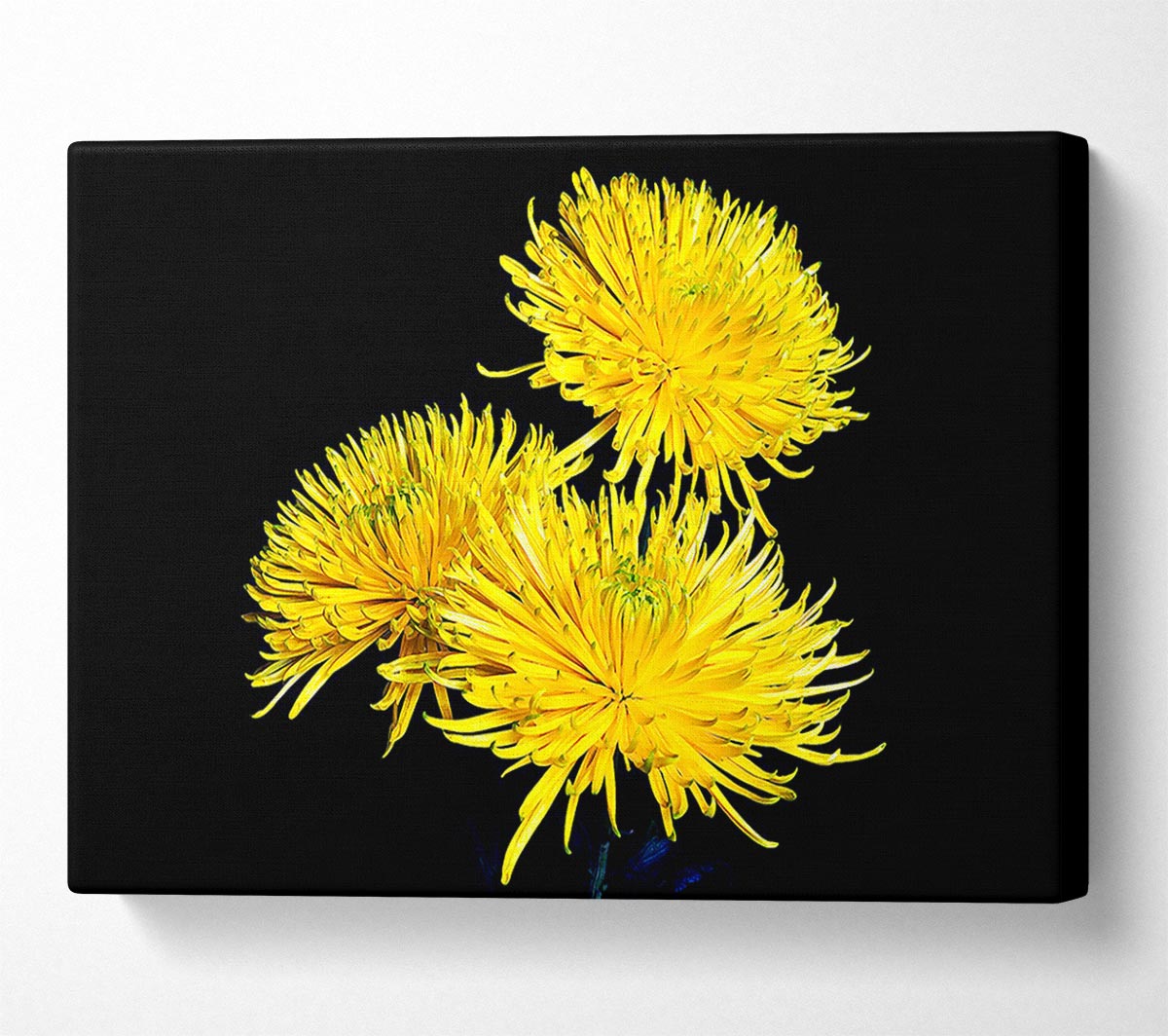 Dandelion Delight Canvas Wall Art