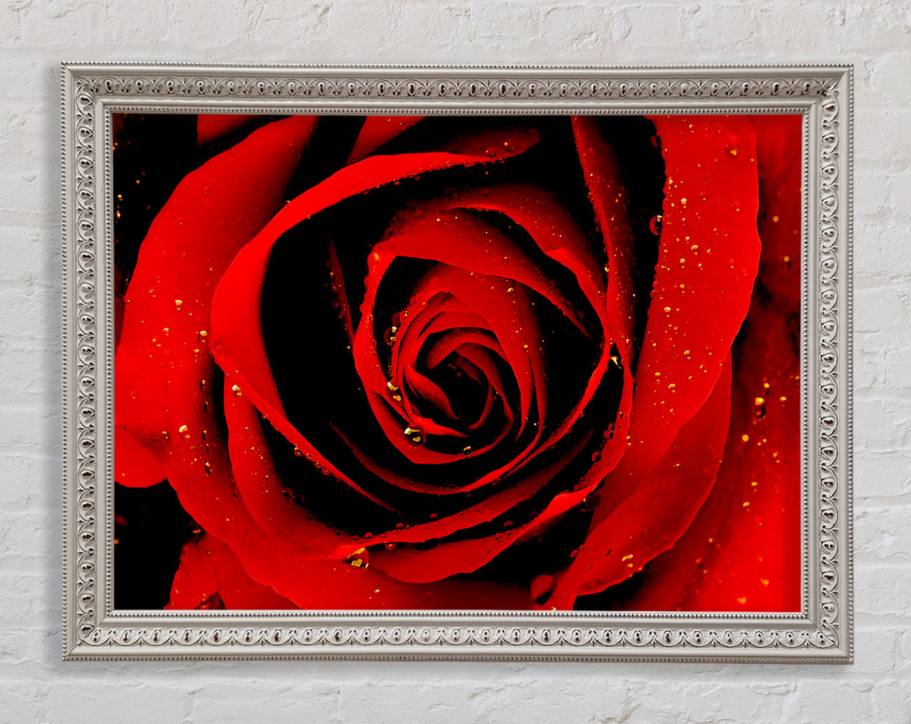 Close-Up Of A Red Rose Framed Wall Art