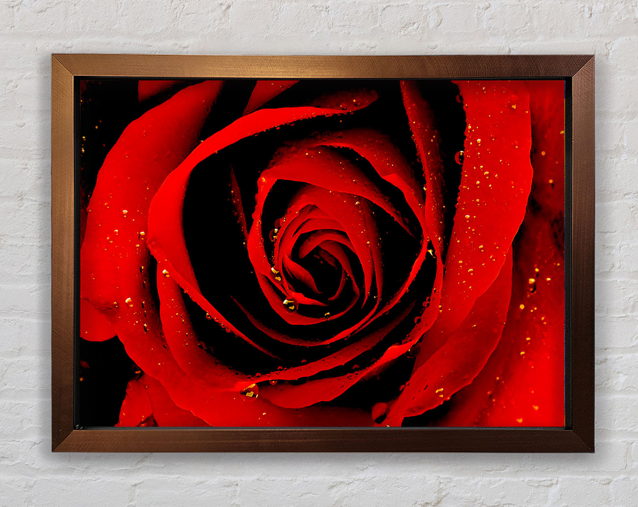 Close-Up Of A Red Rose Framed Wall Art