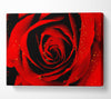 Close-Up Of A Red Rose Canvas Wall Art