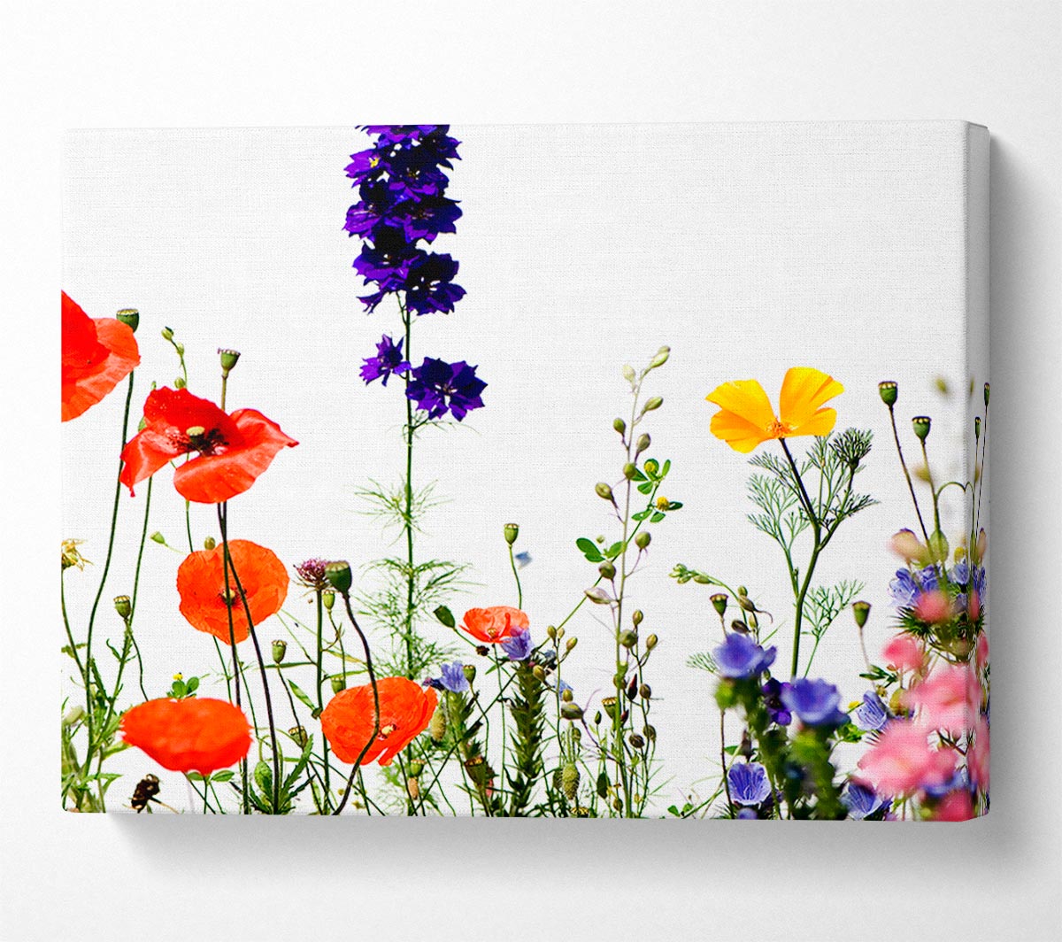 Wild Flower Garden In Bloom Canvas Wall Art