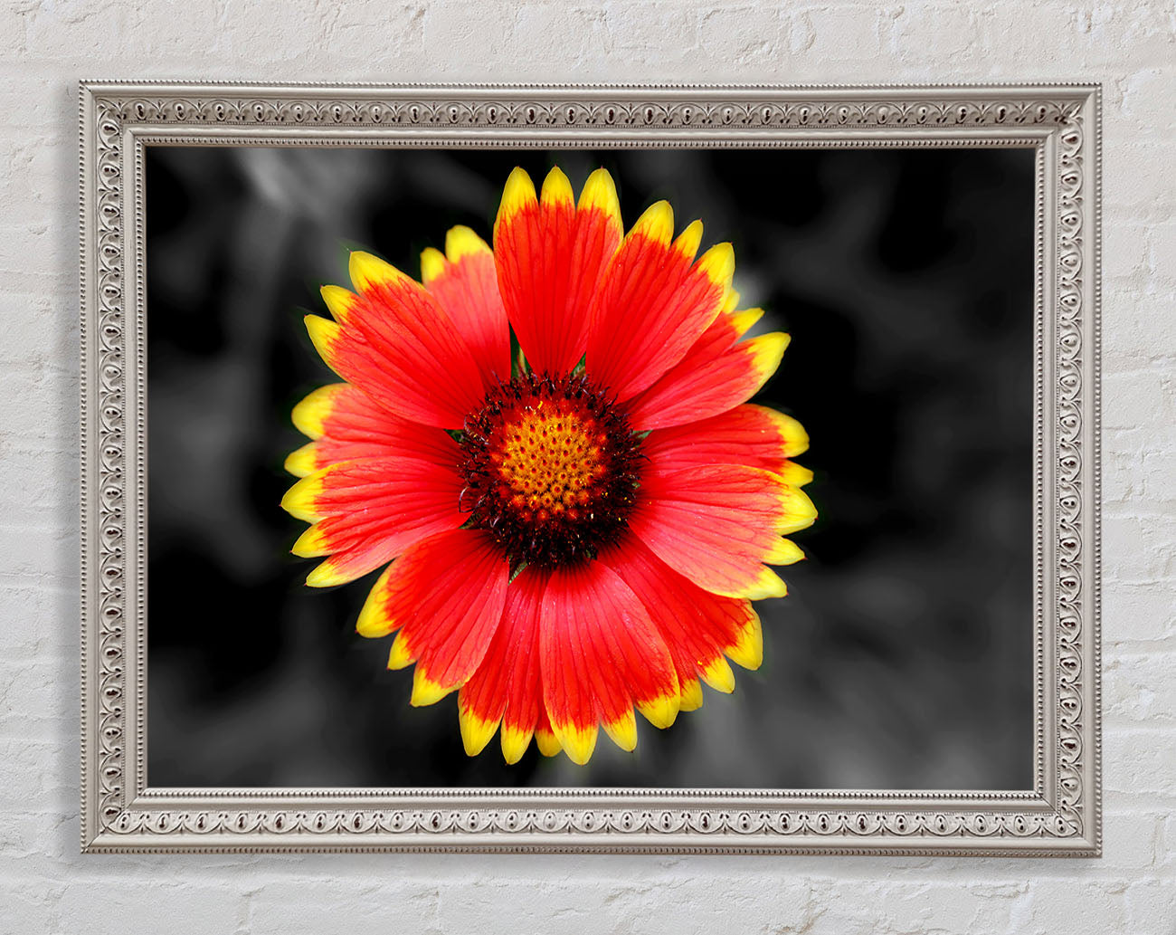 Colours Of The Sun Framed Wall Art