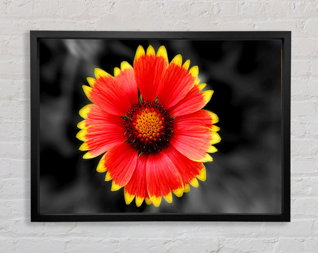 Colours Of The Sun Framed Wall Art