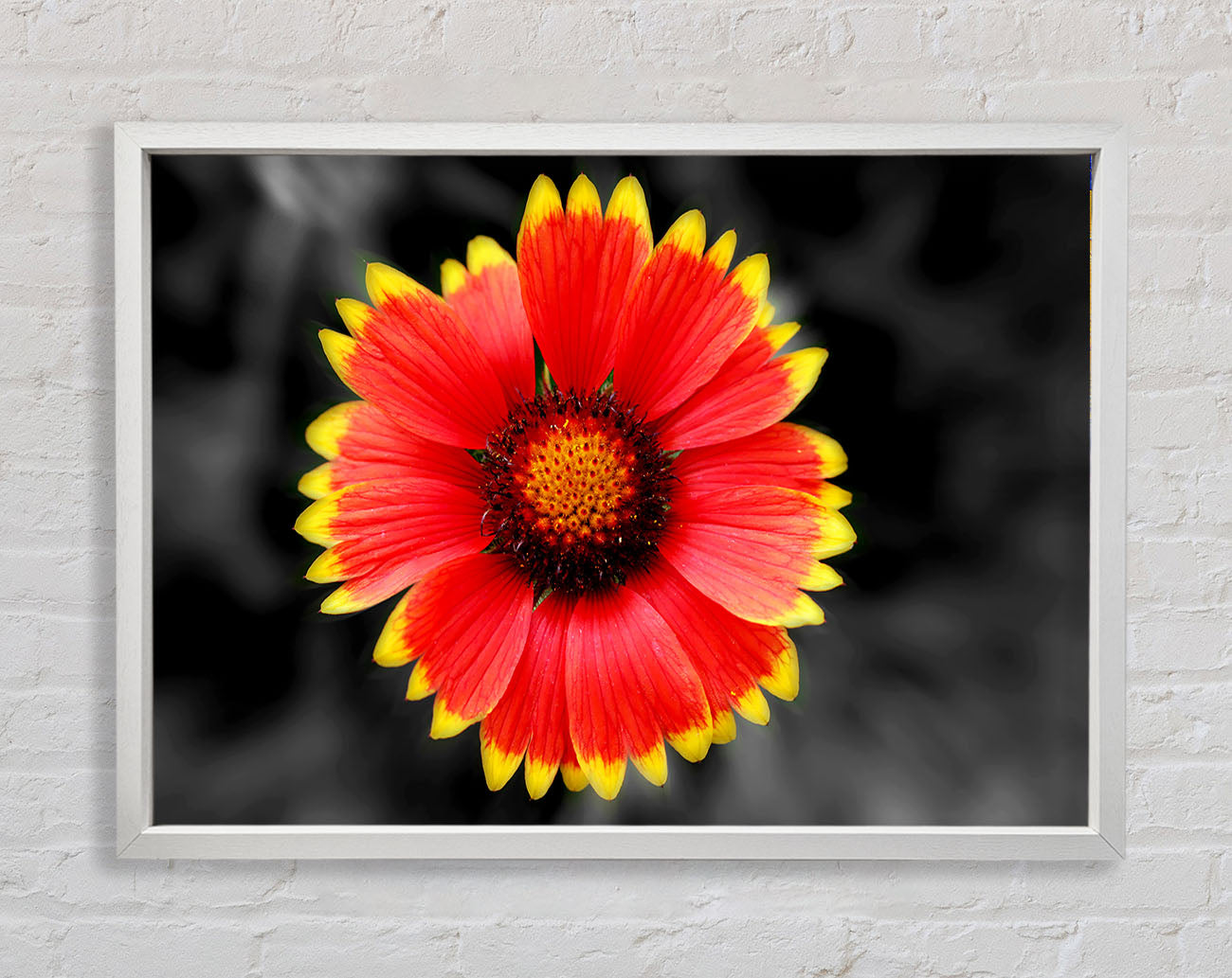 Colours Of The Sun Framed Wall Art