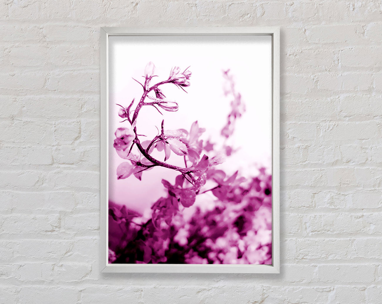 Cherry Blossom Framed Wall Art
