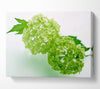 Green Rhododendron Canvas Wall Art