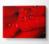 Red Petal Dew Drop Canvas Wall Art