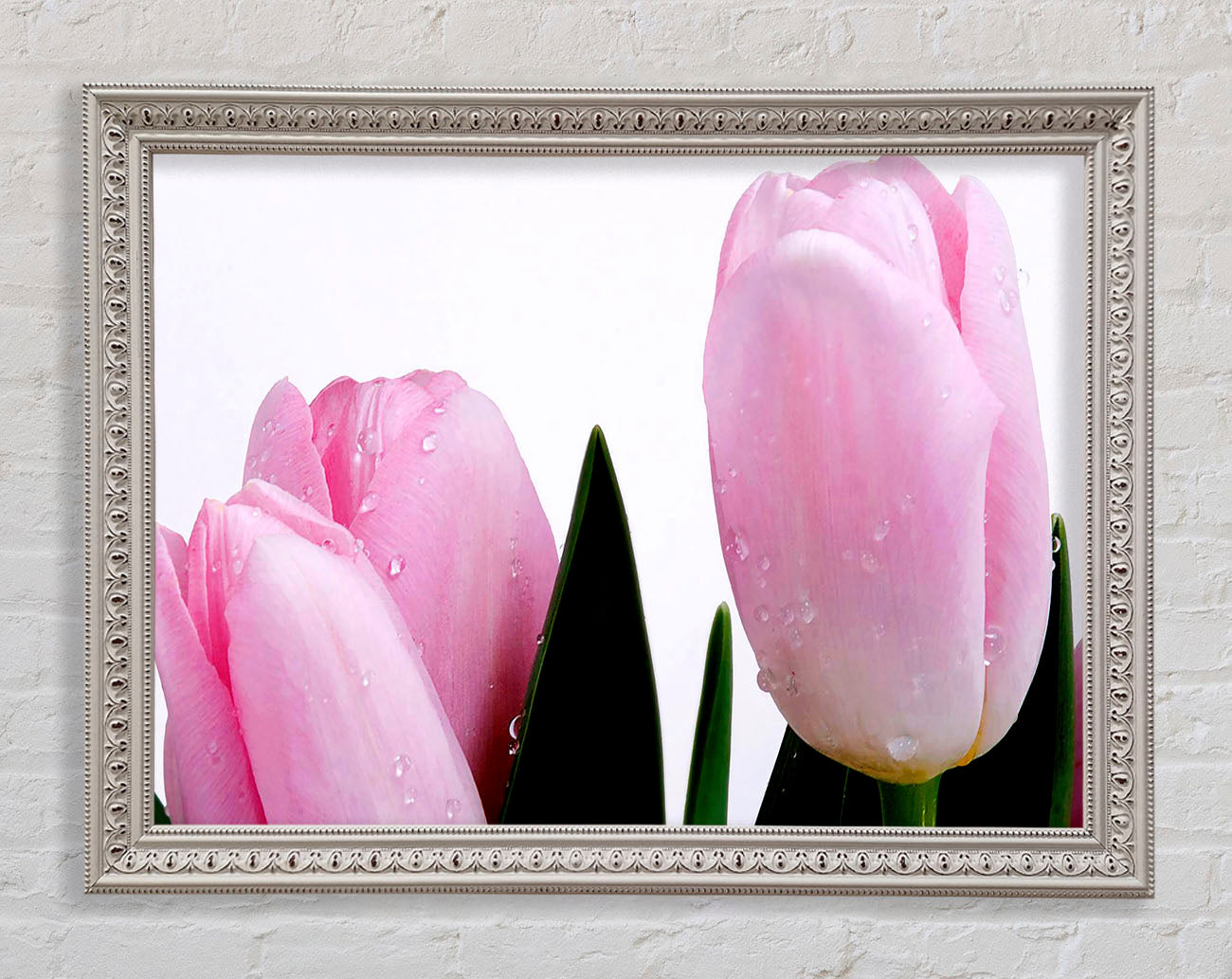 Baby Pink Tulips Framed Wall Art