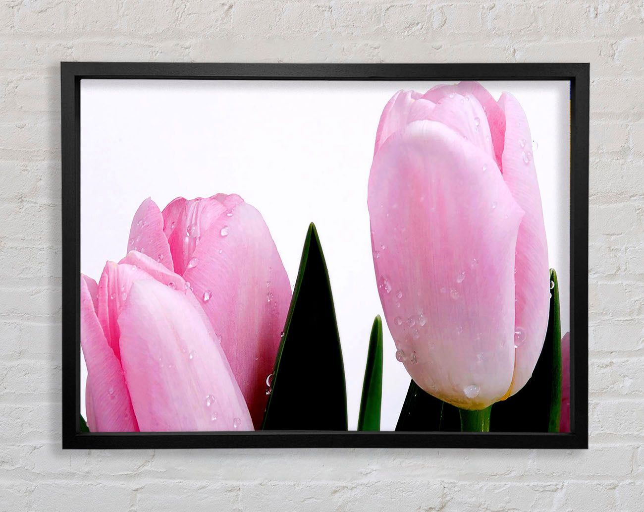 Baby Pink Tulips Framed Wall Art