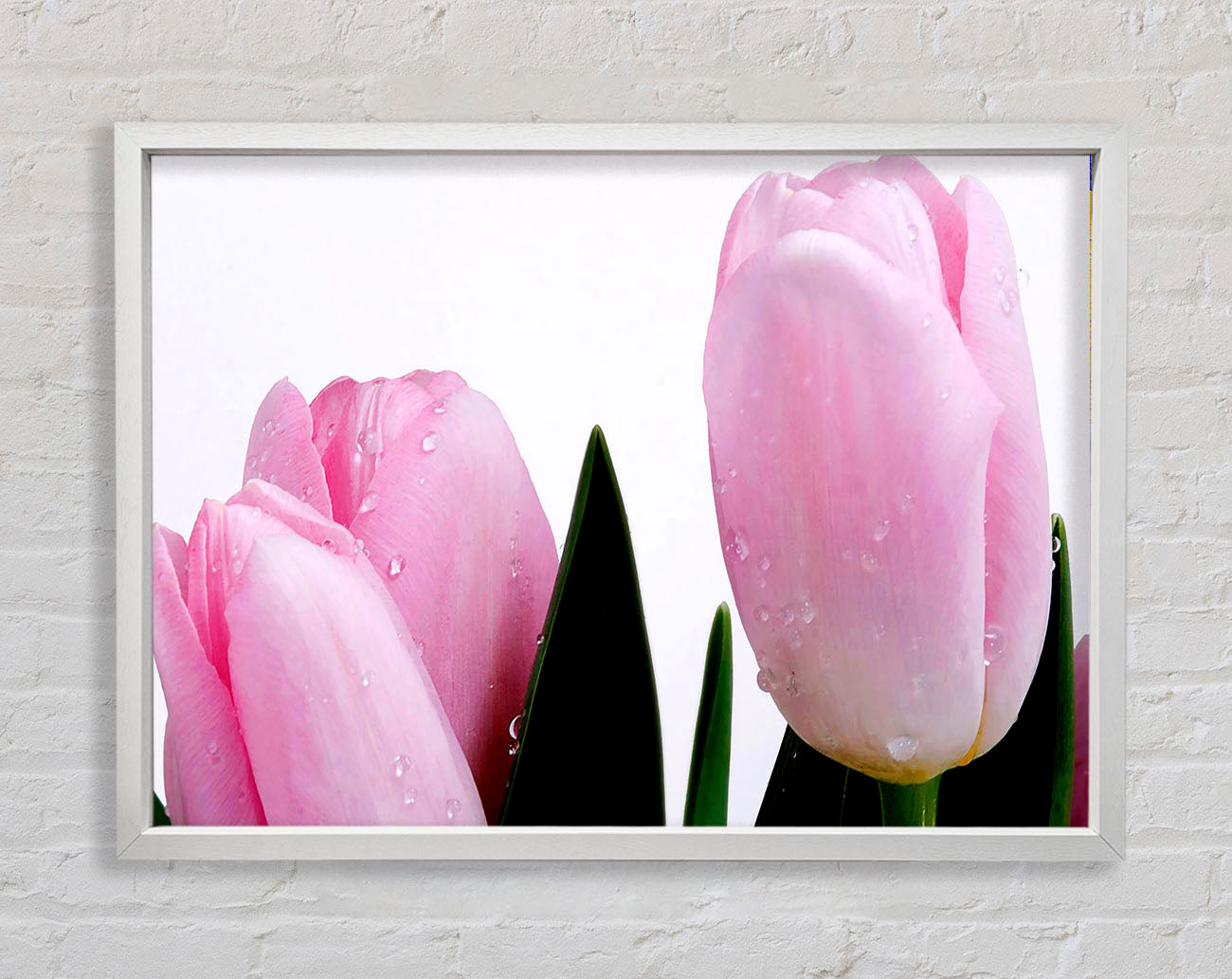 Baby Pink Tulips Framed Wall Art