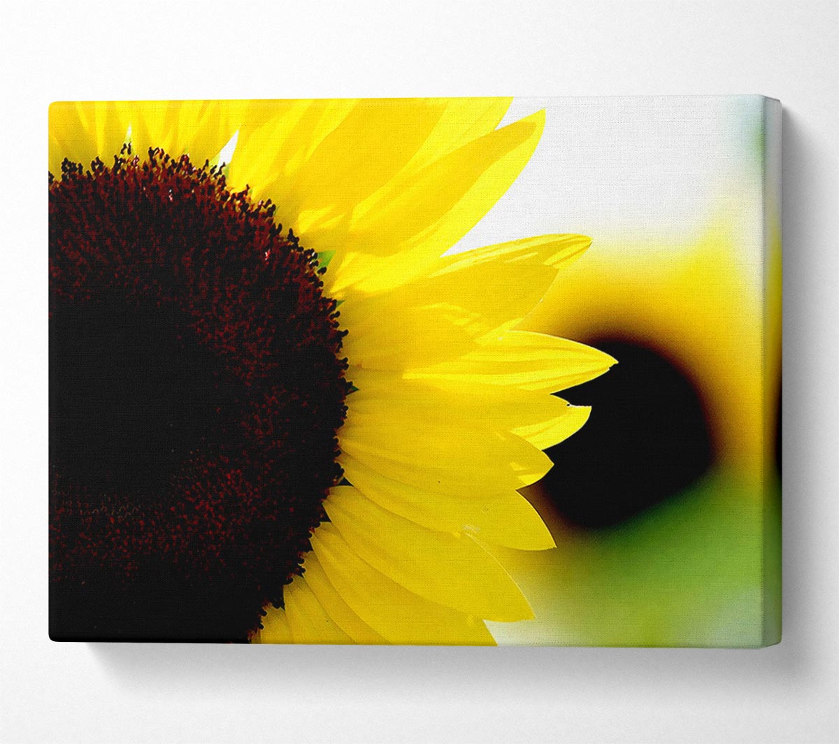 Sunflower Really Close-Up Canvas Wall Art