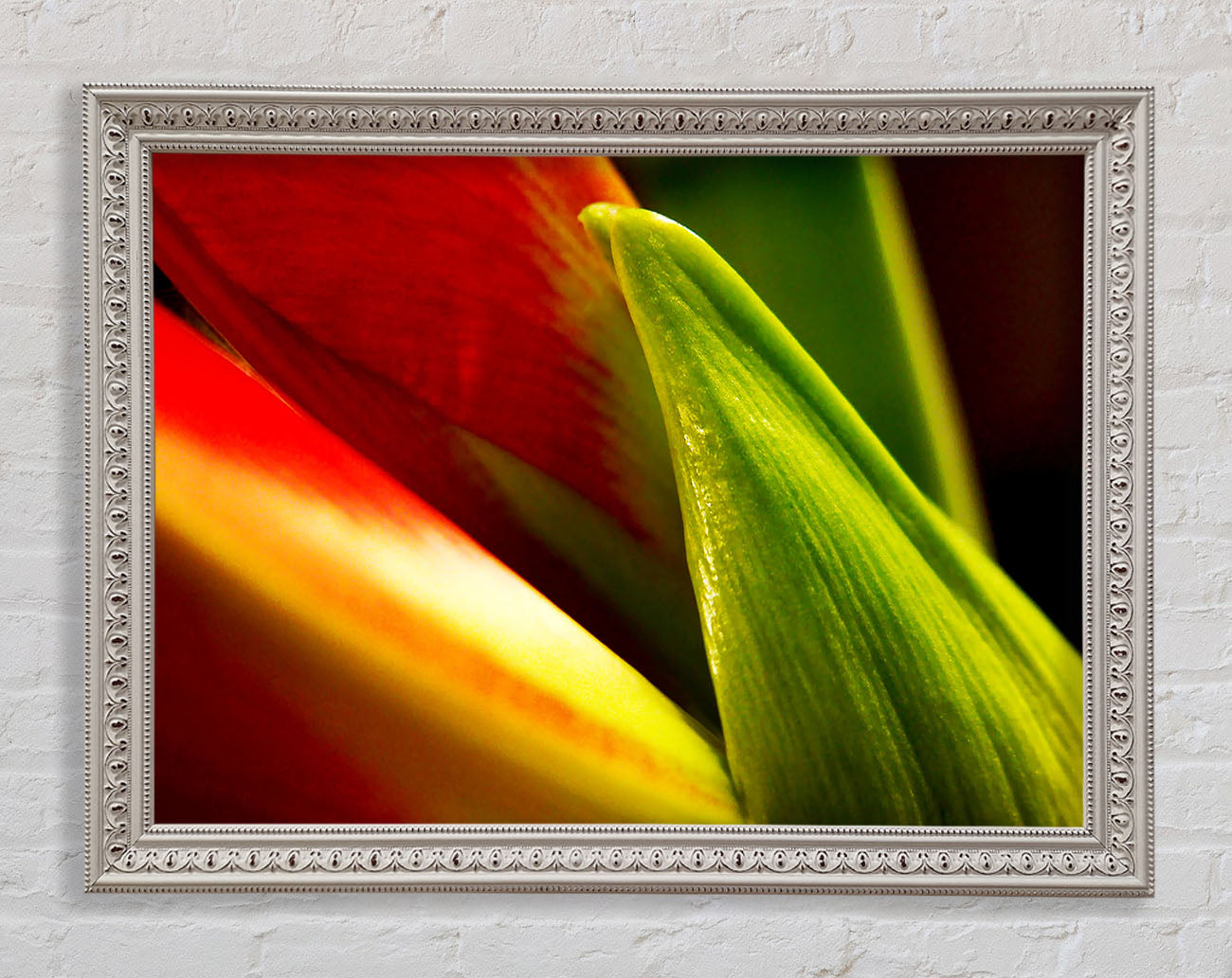 Colours Of Nature Framed Wall Art