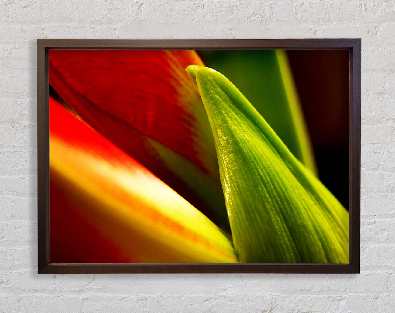 Colours Of Nature Framed Wall Art