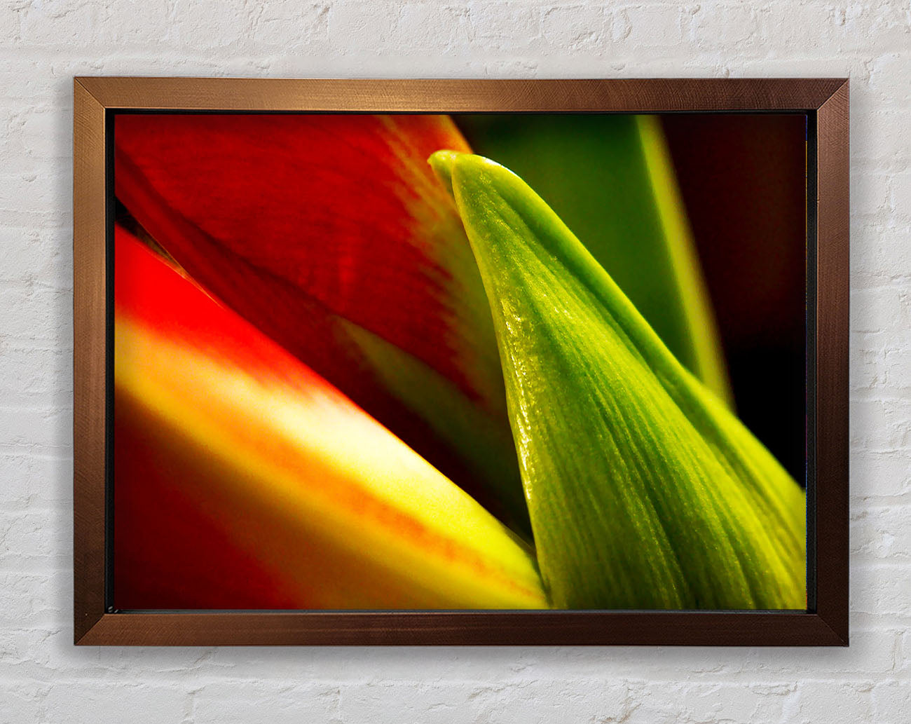 Colours Of Nature Framed Wall Art