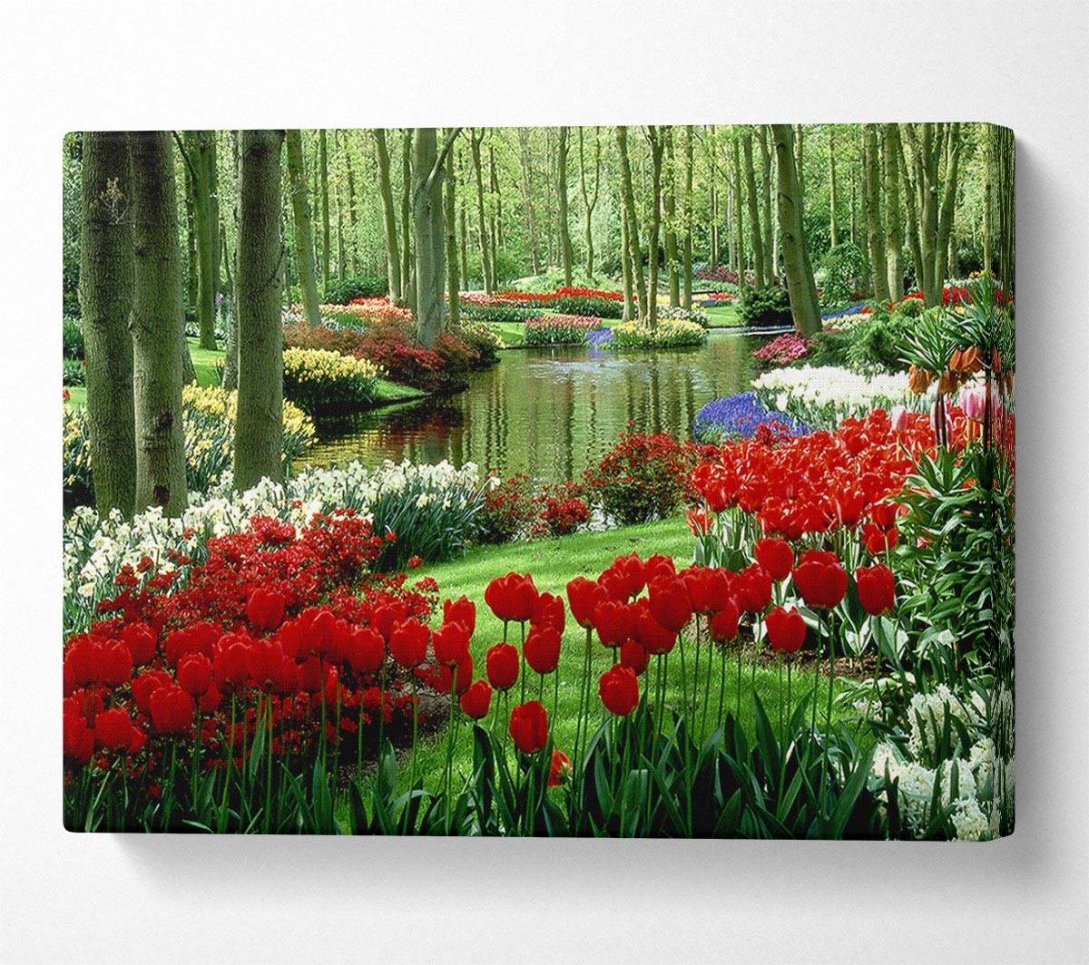 Tulip River Canvas Wall Art