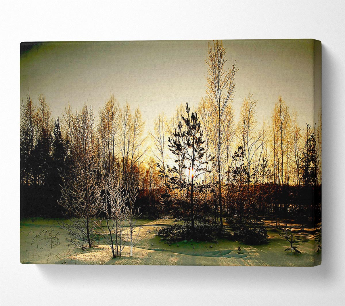 Trees Shadow Winter Canvas Wall Art