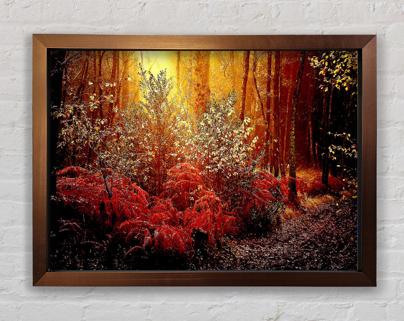 Autumn Forest Framed Wall Art