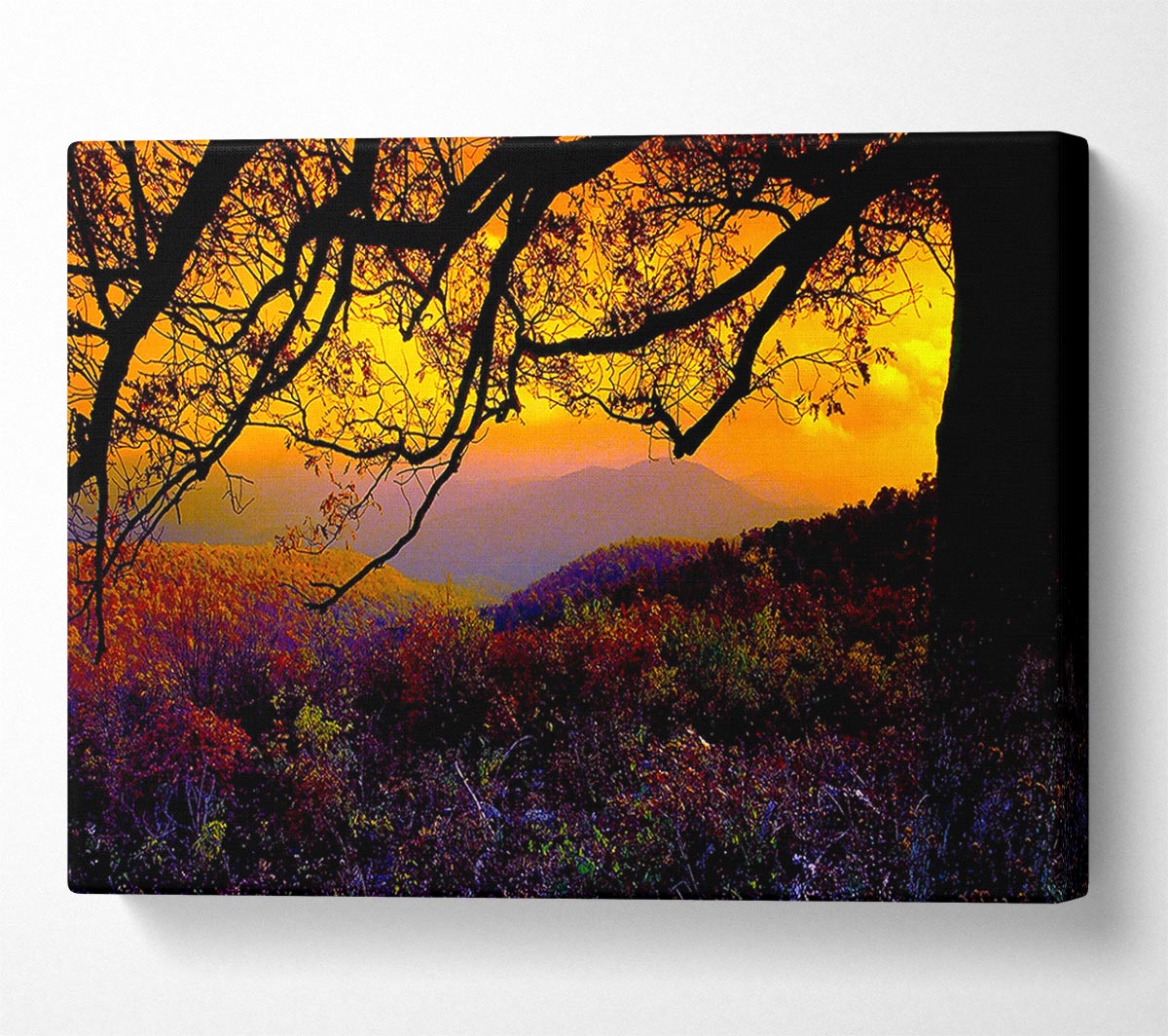 Autumn Dusk Canvas Wall Art