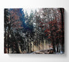 Forest Road In Winter Canvas Wall Art
