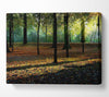 Autumn Light Canvas Wall Art