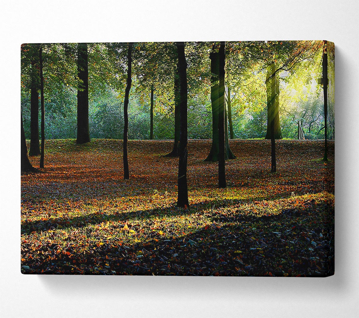 Autumn Light Canvas Wall Art