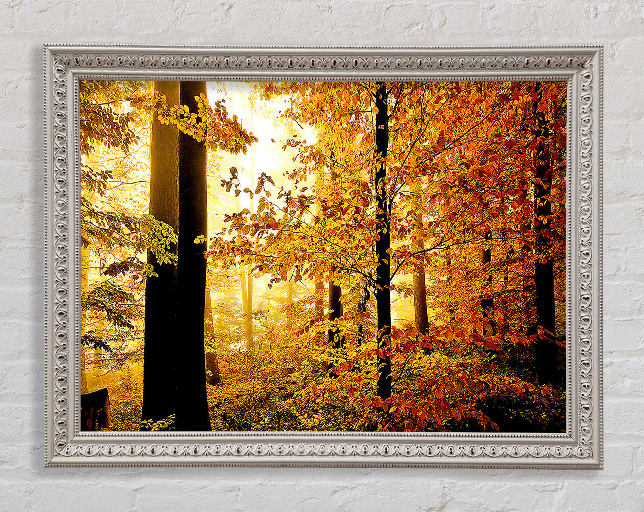 Beautiful Autumn Foliage Framed Wall Art