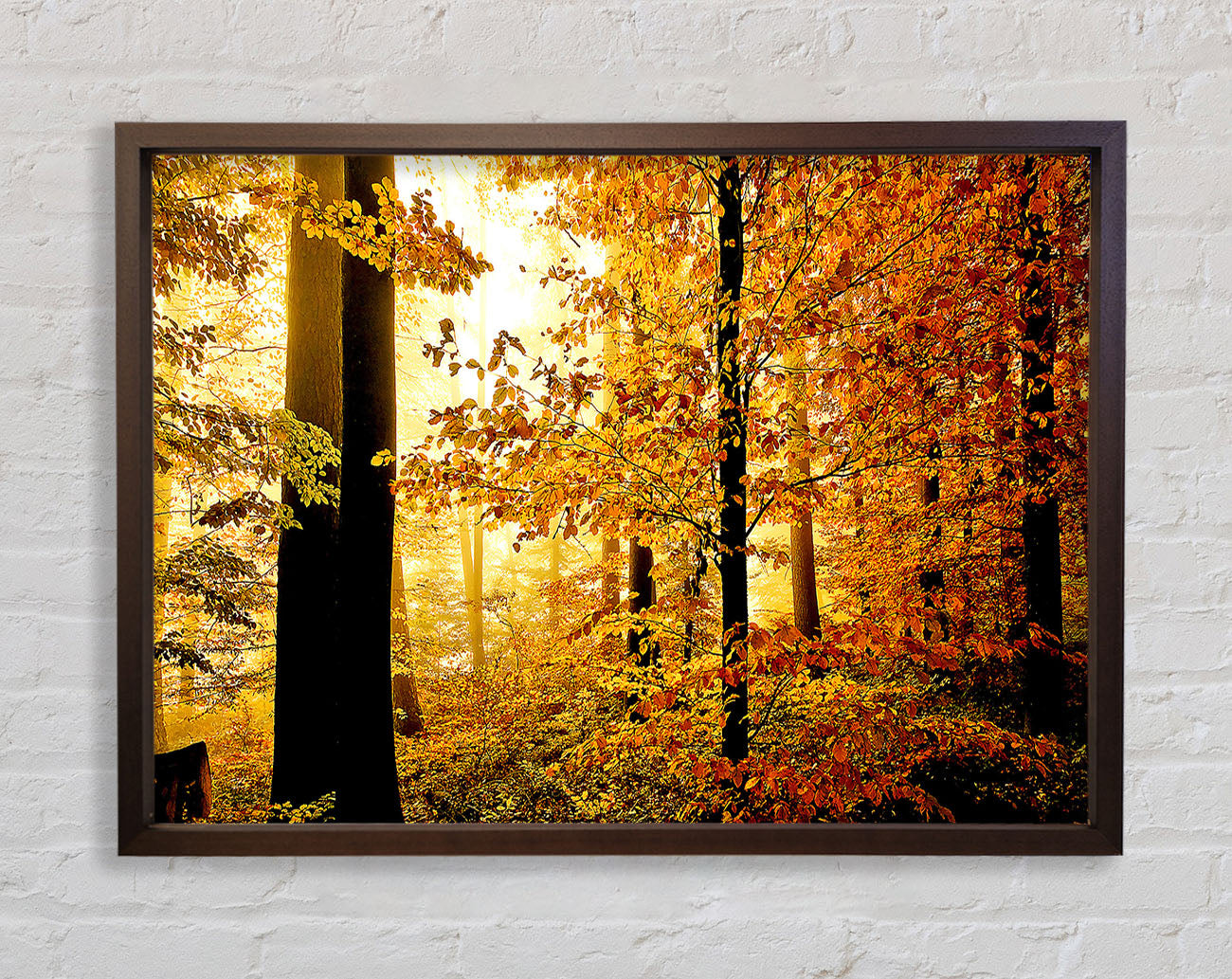 Beautiful Autumn Foliage Framed Wall Art