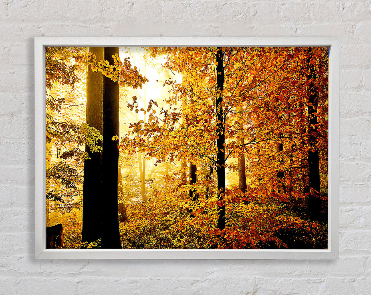 Beautiful Autumn Foliage Framed Wall Art