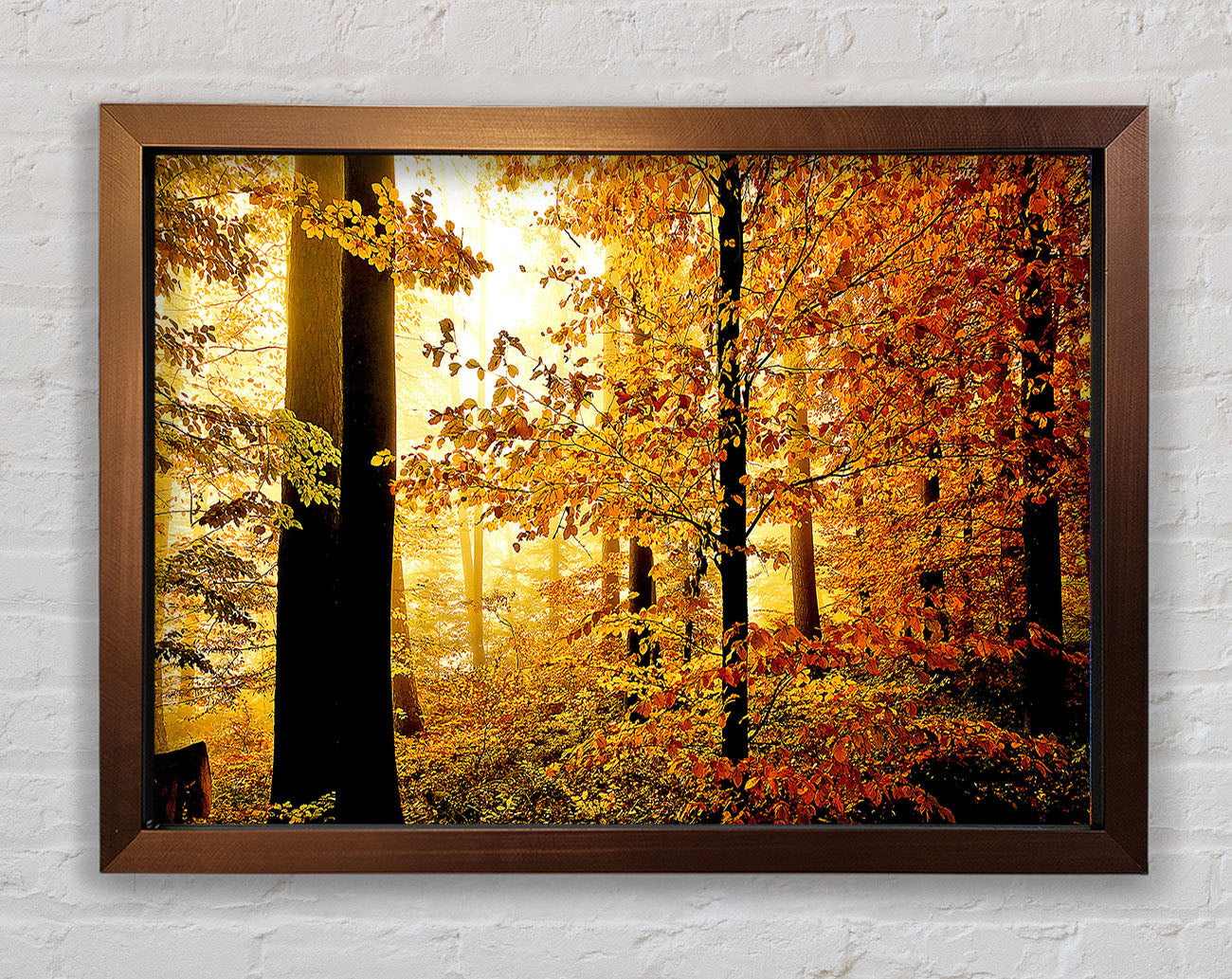 Beautiful Autumn Foliage Framed Wall Art