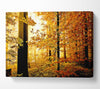 Beautiful Autumn Foliage Canvas Wall Art