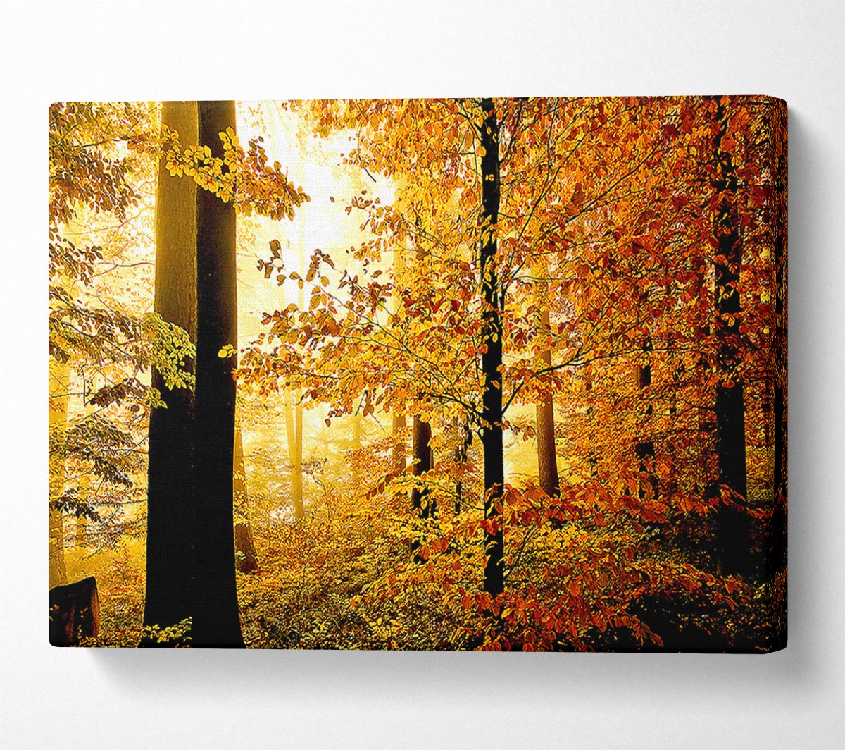 Beautiful Autumn Foliage Canvas Wall Art