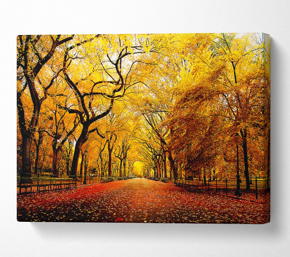 Wide Alley Canvas Wall Art