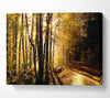 Beautiful Forest Road Autumn Canvas Wall Art