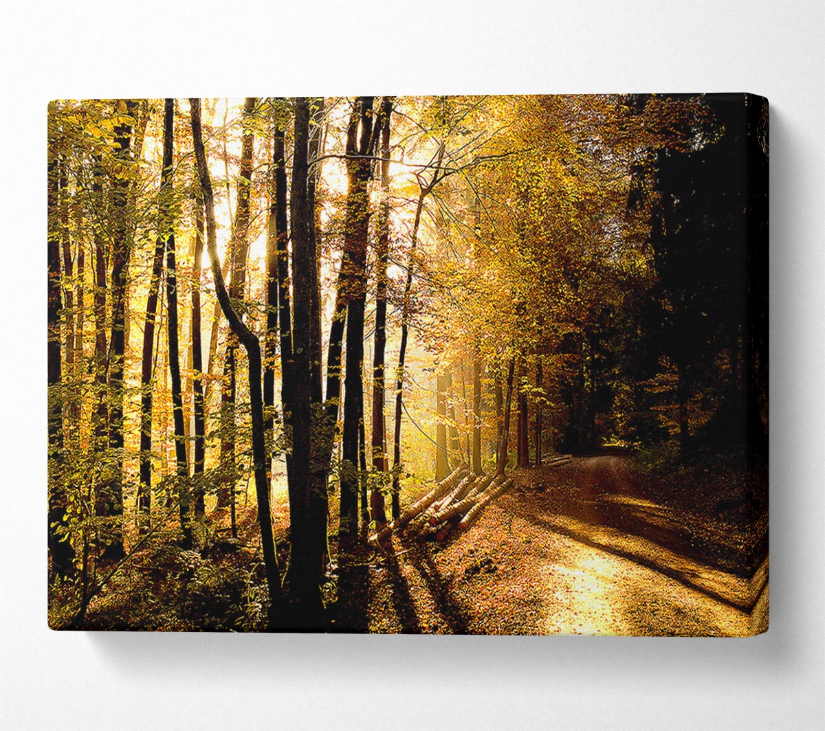 Beautiful Forest Road Autumn Canvas Wall Art