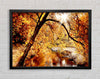 Creek In The Autumn Forest Framed Wall Art
