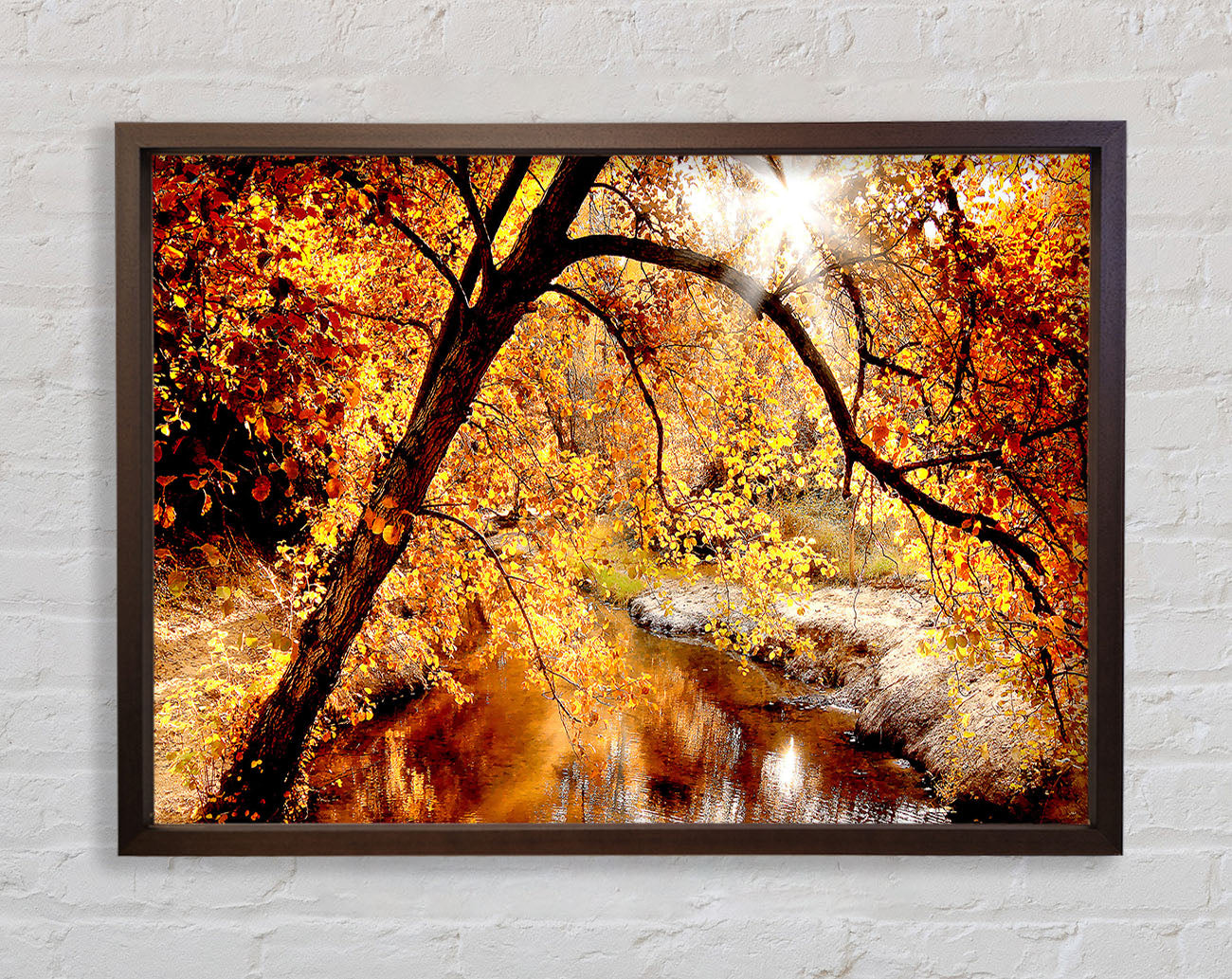 Creek In The Autumn Forest Framed Wall Art
