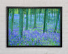 Bluebells In The Forest Framed Wall Art